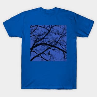 Nightfall in blue T-Shirt